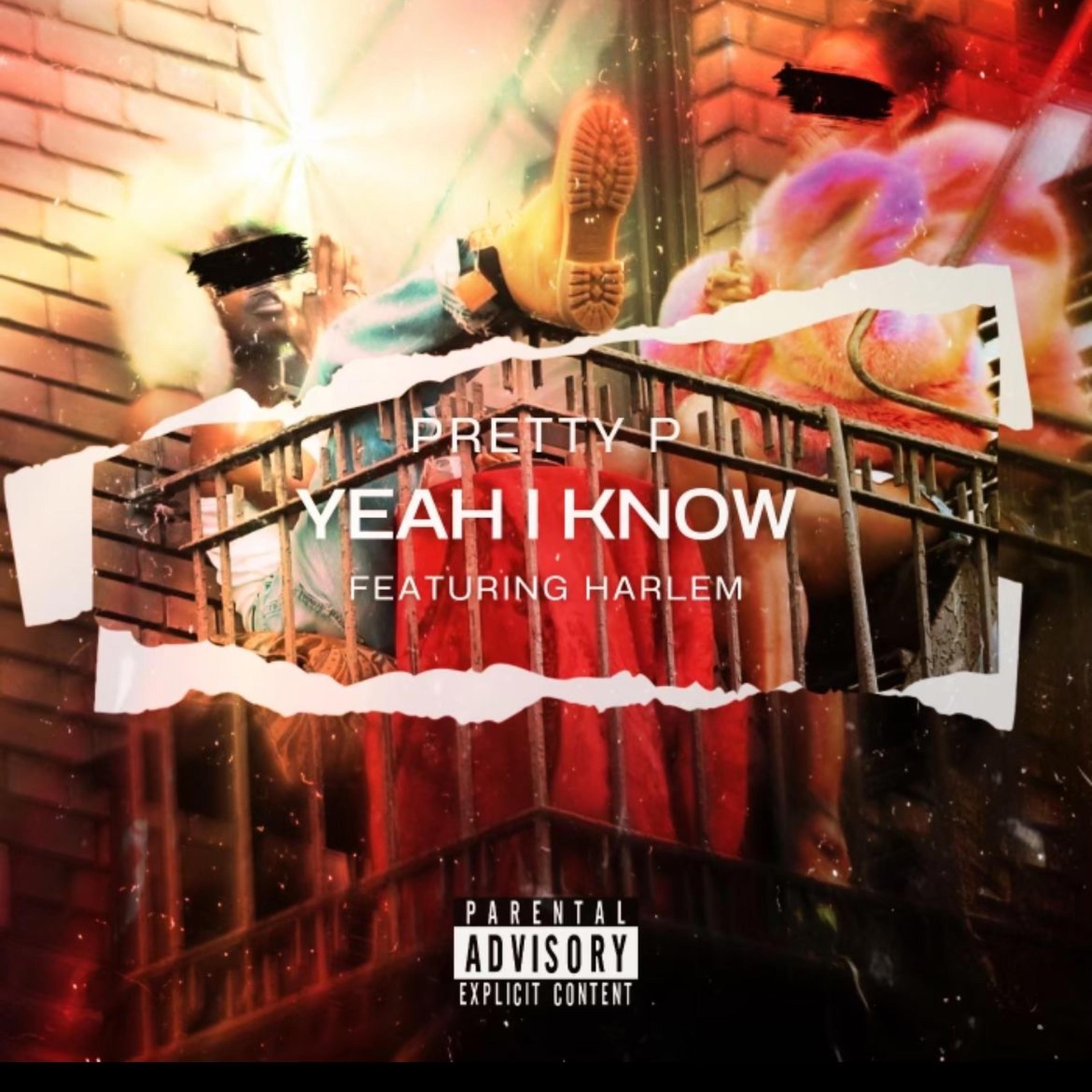 Yeah I Know (feat. Harlem) - Single