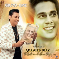 Homenaje a Adanies Díaz, Te Canto Con el Alma Papá, Vol. 2 - Churo Diaz