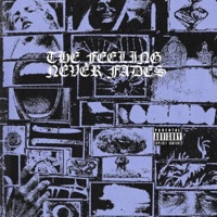 TheFeelingNeverFades - $ativa