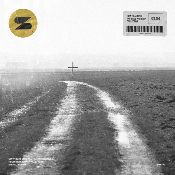 How Beautiful (feat. Steve Davis & Jillana Jones)