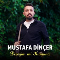 Dizeyim Mi Kurşuna