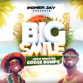 Goose Bumps (feat. Chow Minister) Power Jay
