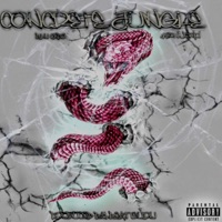 Concrete Jungle - Single - Blu Capo