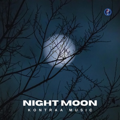 Night Moon
