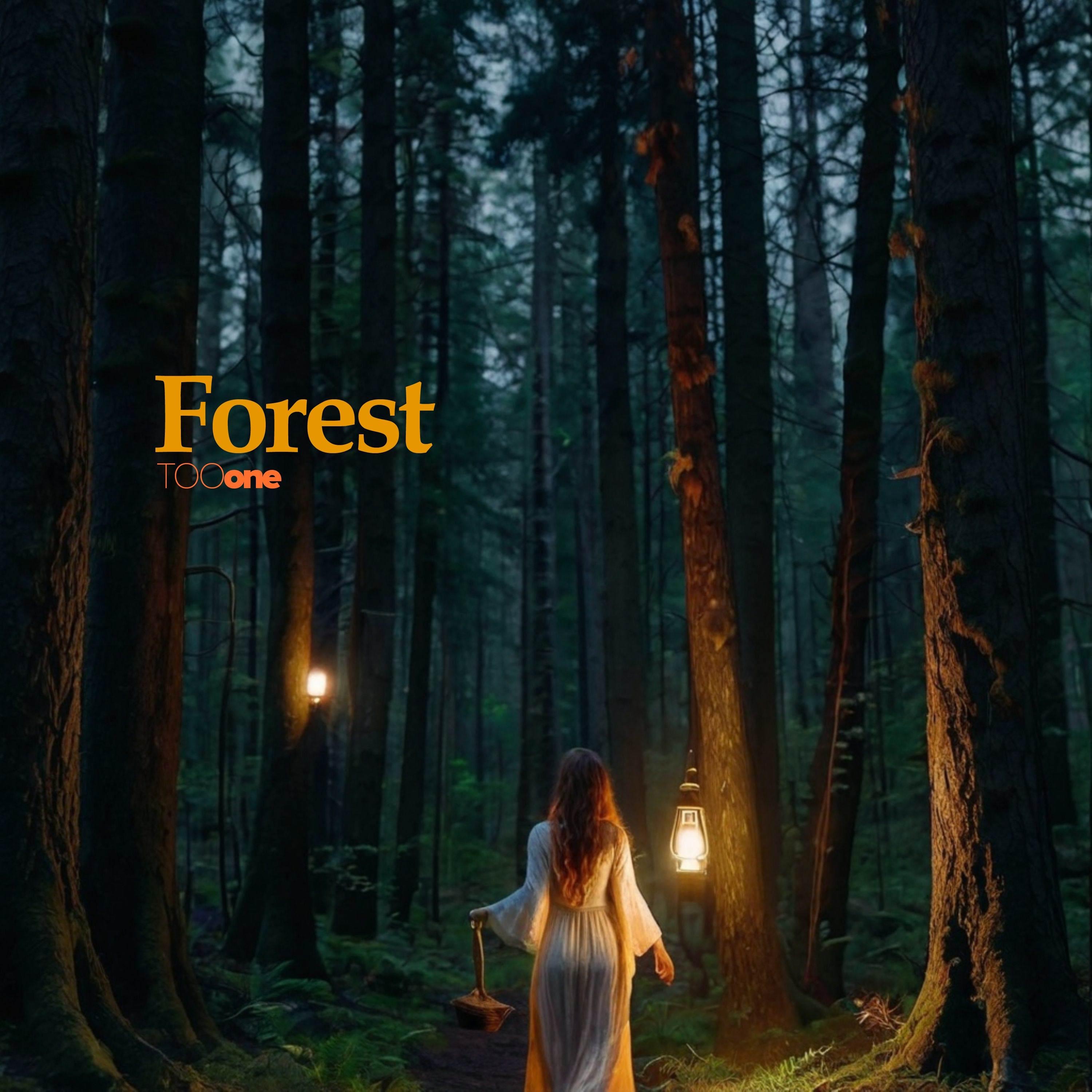 Tooone - 330 Forest Of Mirrors