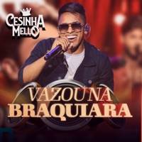 Vazou Na Braquiara - Single - CESINHA MELLO