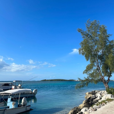 Free (Radio Edit) - Single