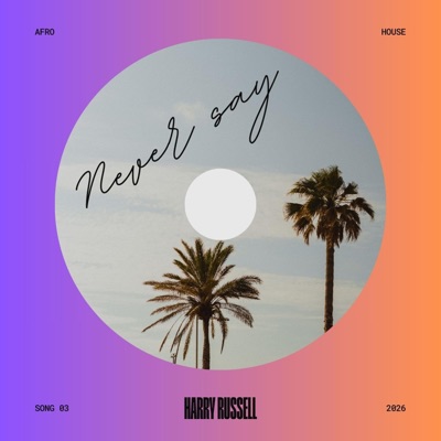 never say - Single