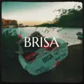 Brisa