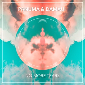 No More Tears - Single