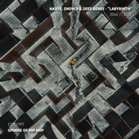 Labyrinth - Single - Naute, Snowji & Deez Agree