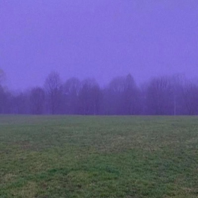 Lavender (feat. Pernice) - Single