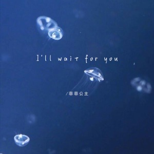 I'll wait for you - Single