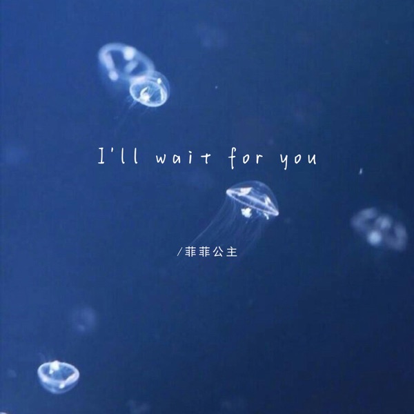 I'll wait for you - Single