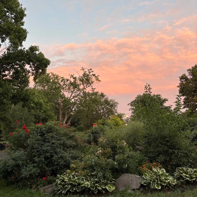 Interstellar Kidz - Single