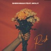 Risk (feat. Moliy) cover art