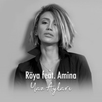 Yaz Ayları (feat. Amina) - Single - Röya