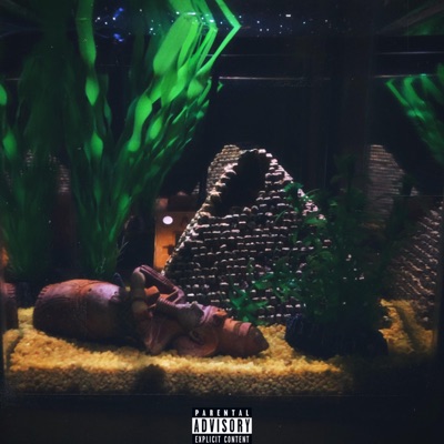 Chvilka Chillu II - EP