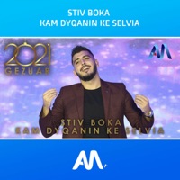 Kam dyqanin ke Selvia (feat. Stiv Boka) - Single - Art Media +