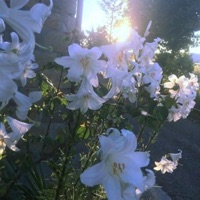 Good Day - Single - vent