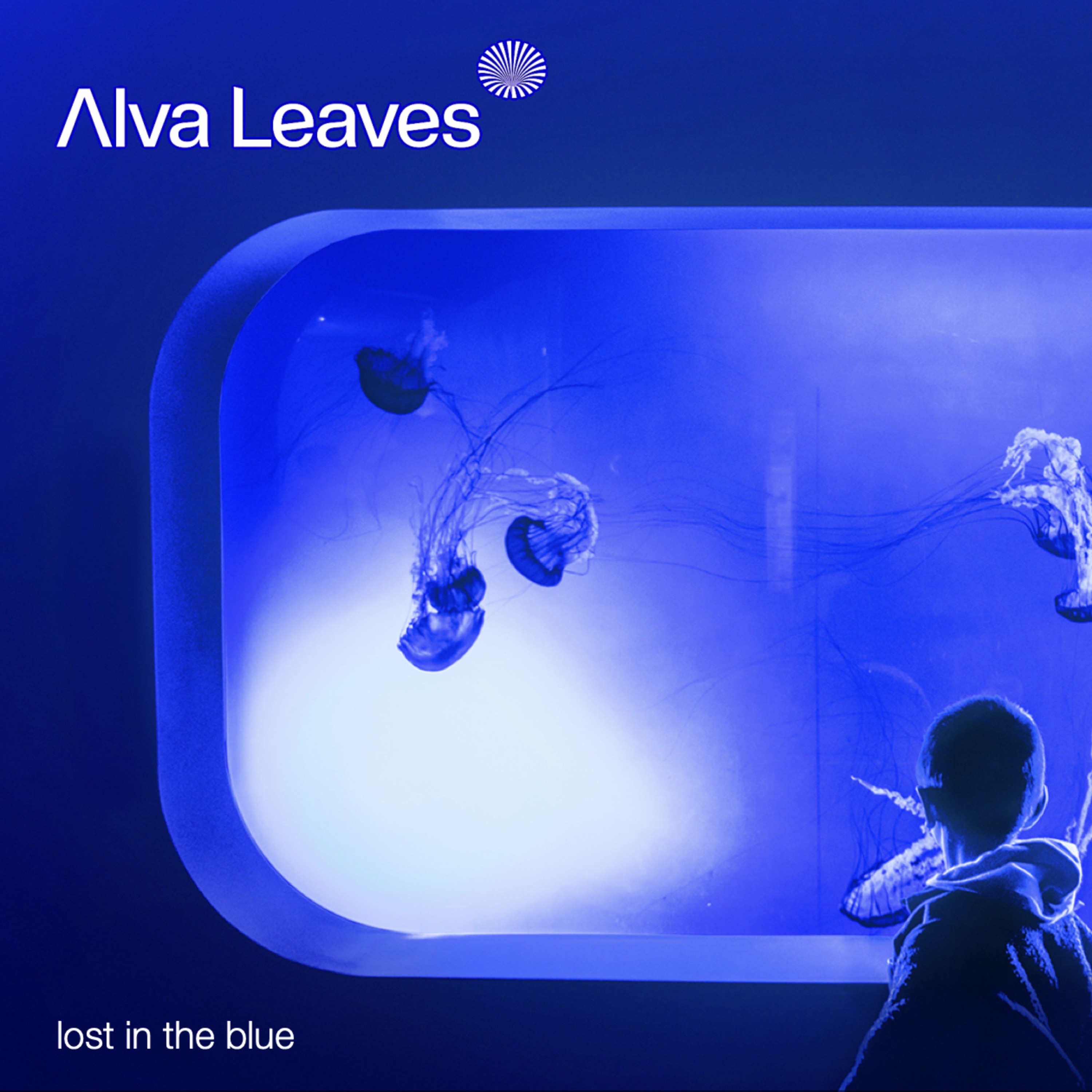 Lost in the Blue