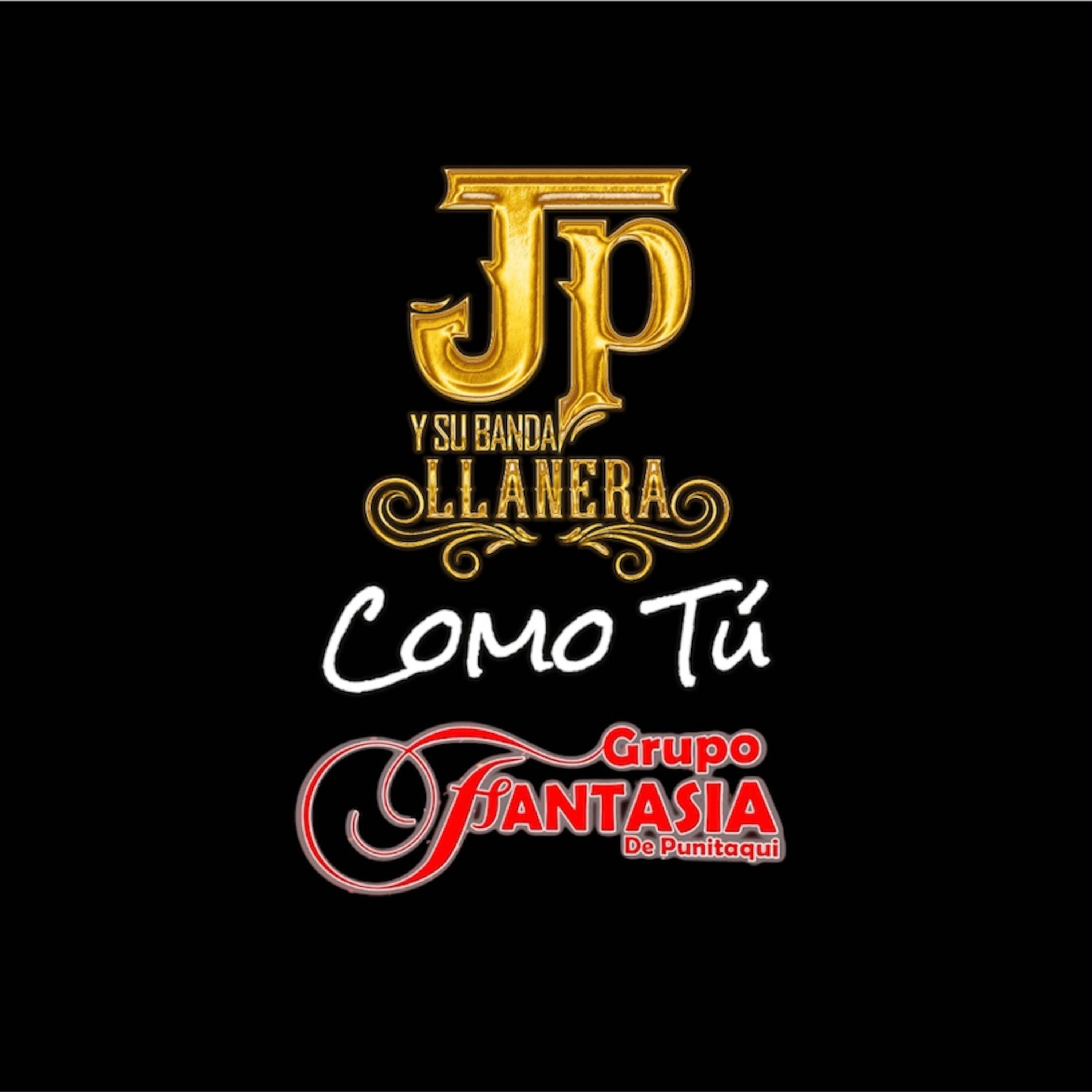 Como Tú (feat. Fantasía De Punitaqui) - Single