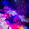 Summer Lovin (Lofi Chill Mix) [feat. Steve Drakes] - Single