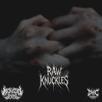 RAW KNUCKLES - Single - Rxjxctxd by all
