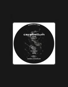 Écoutez Yeiks, regardez des vidéoclips, lisez la biographie, consultez les dates de tournée et plus encore !