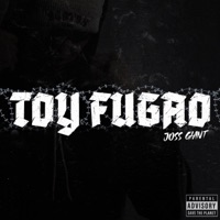 TOY FUGAO - Single - Joss Giant