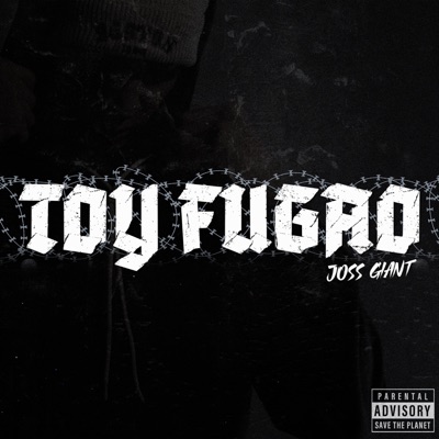 TOY FUGAO - Single