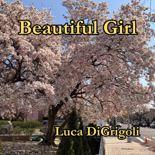 Beautiful Girl cover