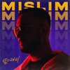 MISLIM