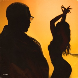 Nobody Body (feat. Dylisa & Bokoesam) Bryan Mg