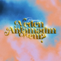 Neden Anlamadın Beni? - Single - Reynmen