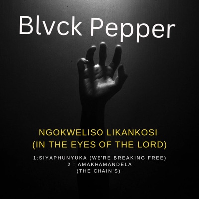 Ngokweliso LikaNkosi (In the Eyes of the Lord) - Single