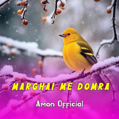 Aman Official - Marghai Me Domra