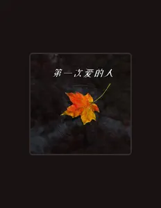 一只白洋を聴いたり、ミュージックビデオを鑑賞したり、経歴やツアー日程などを確認したりしましょう！