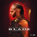 Blade