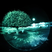 Dance the Night Away (feat. 33kozy) - Single - Drakeio