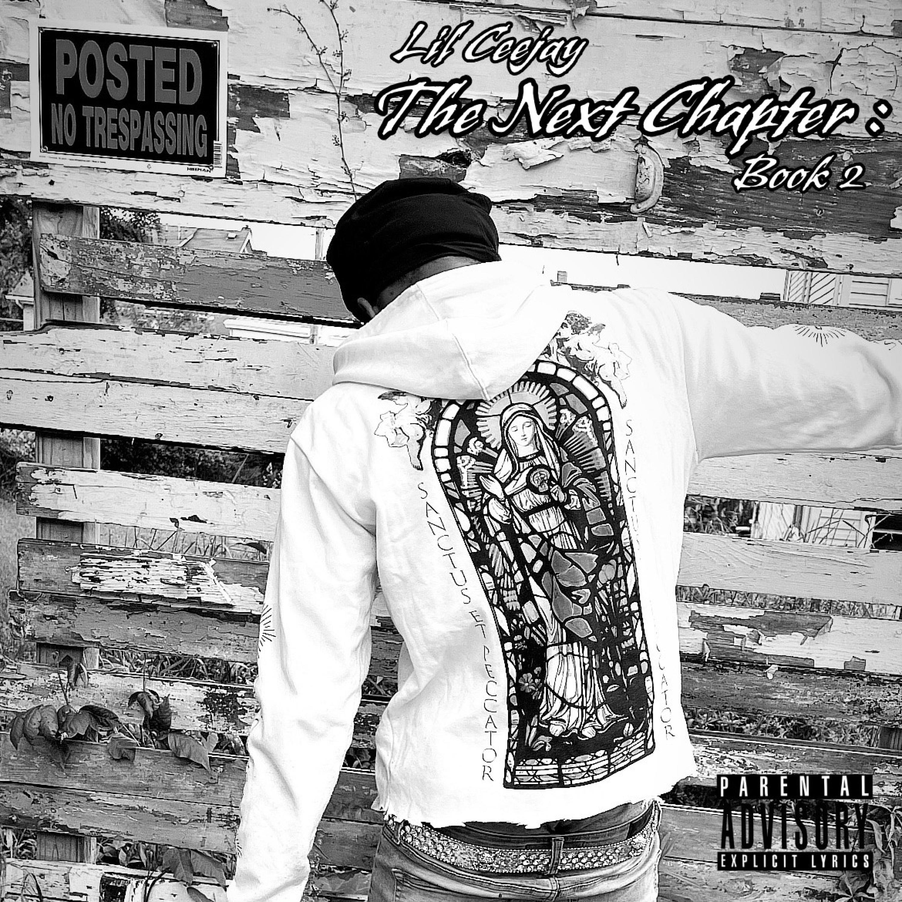 The Next Chapter: Book 2