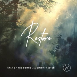Restore (Instrumental) Salt Of The Sound & Simon Wester