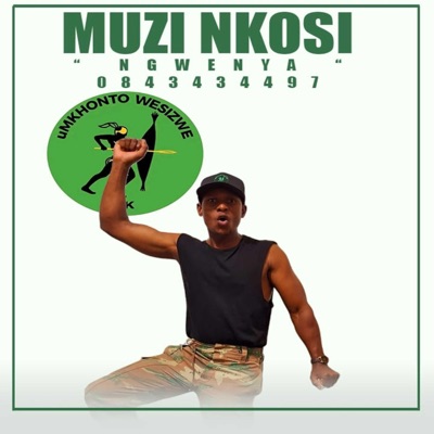 Muzi Nkosi - uMkhonto Wesizwe (Msholozi) (feat. Perfect Sound)