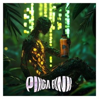 P1NGA FUNK - EP - EclipSounds & Dnistroke!