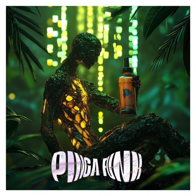 P1NGA FUNK - EP
