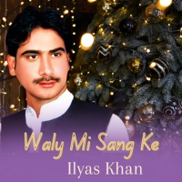 Waly Mi Sang Ke - Single - Ilyas Khan
