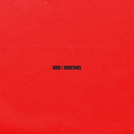 BURN SOMETIMES Nas Leber