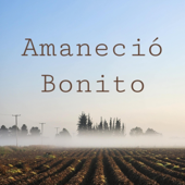 Amaneció bonito