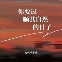 你要过顺其自然的日子 - Single - 老胡子男孩