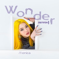 อยากจะรู้ - Single - MONICA